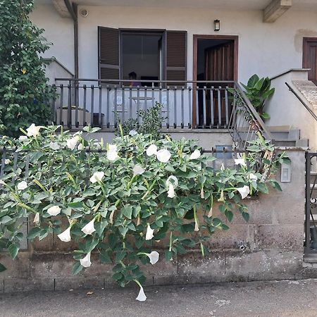 A Casa Ida Apartment Bagnoregio Exterior photo